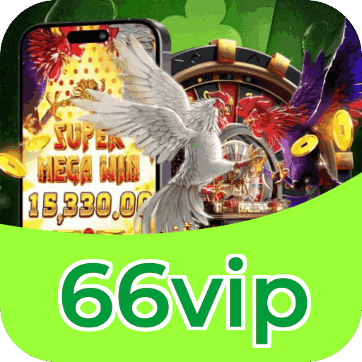 Interface 66vip